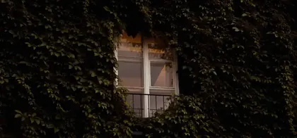 Психиатр по соседству